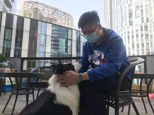 一生負氣成今日，一騎白馬開吳疆——會計學院排球隊挺進決賽