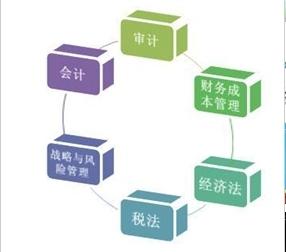 從會(huì)計(jì)新人到財(cái)務(wù)總監(jiān) 520篇密碼，與你共同成長(zhǎng)