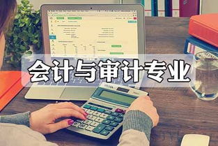 會(huì)計(jì)與審計(jì)專業(yè)競(jìng)爭(zhēng)態(tài)勢(shì)分析 審計(jì)及稅務(wù)服務(wù)領(lǐng)域的角逐